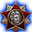 Badge Level 14