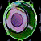 Warlord Seal